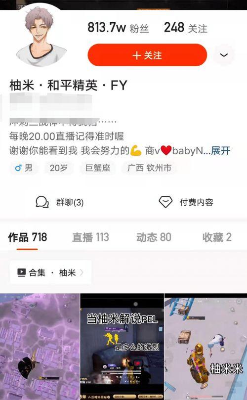 和平精英ss13赛季手册最新爆料,全新爆料揭秘赛季亮点与玩法变革  第3张